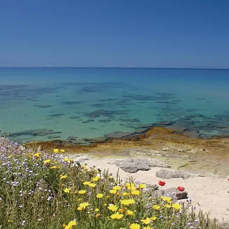 Mare Dei Ginepri Bilocale Apartment
